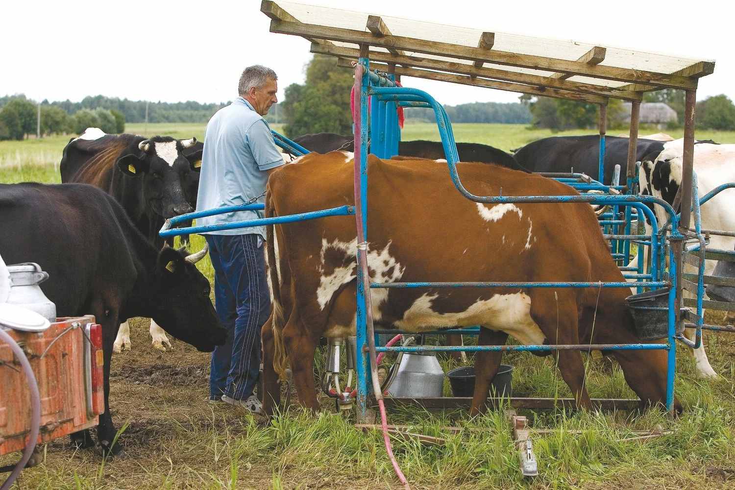 Juditos Grigelytės (VŽ) nuotr.