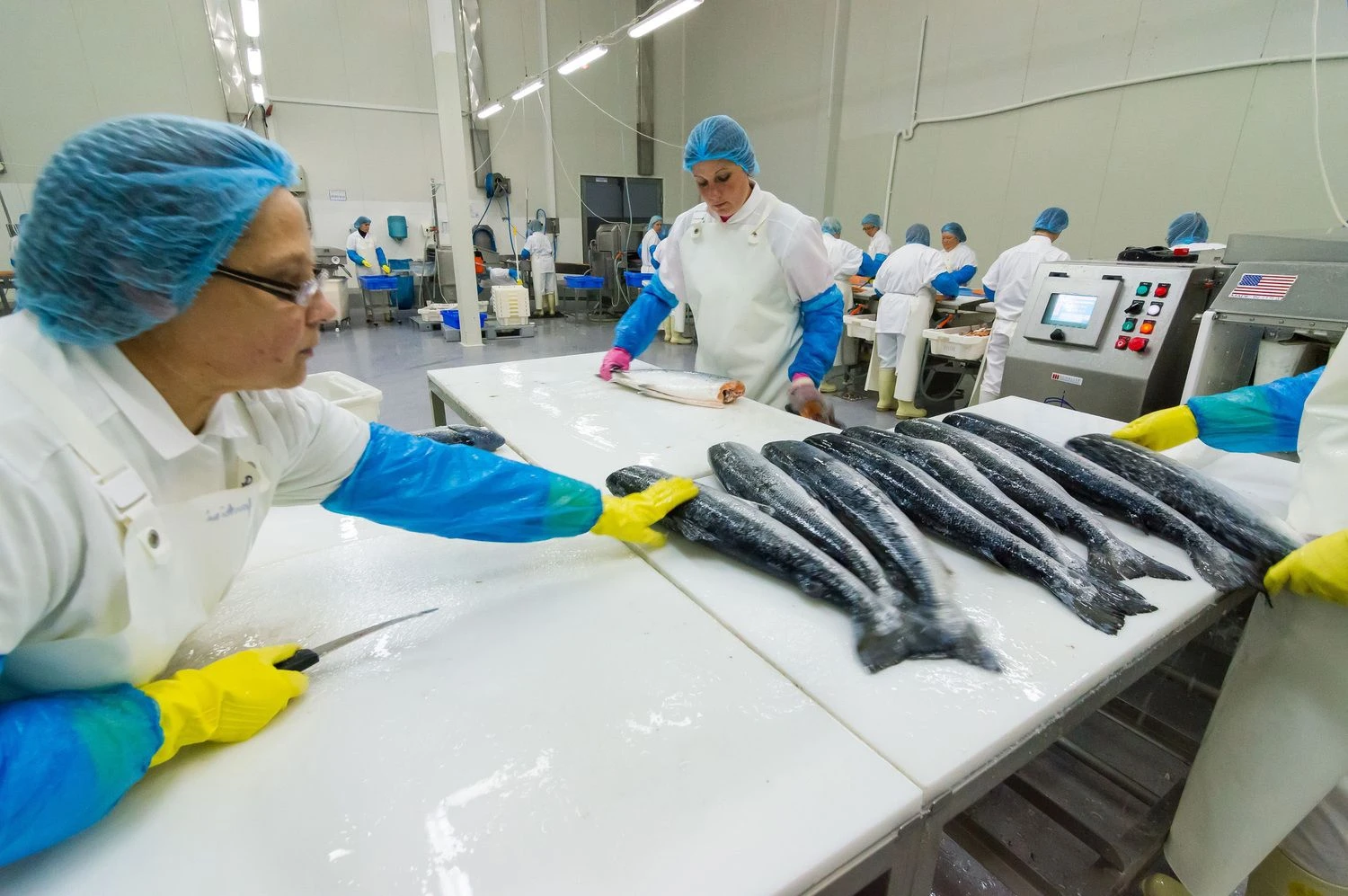 Kazimiero Linkevičiaus nuotr.