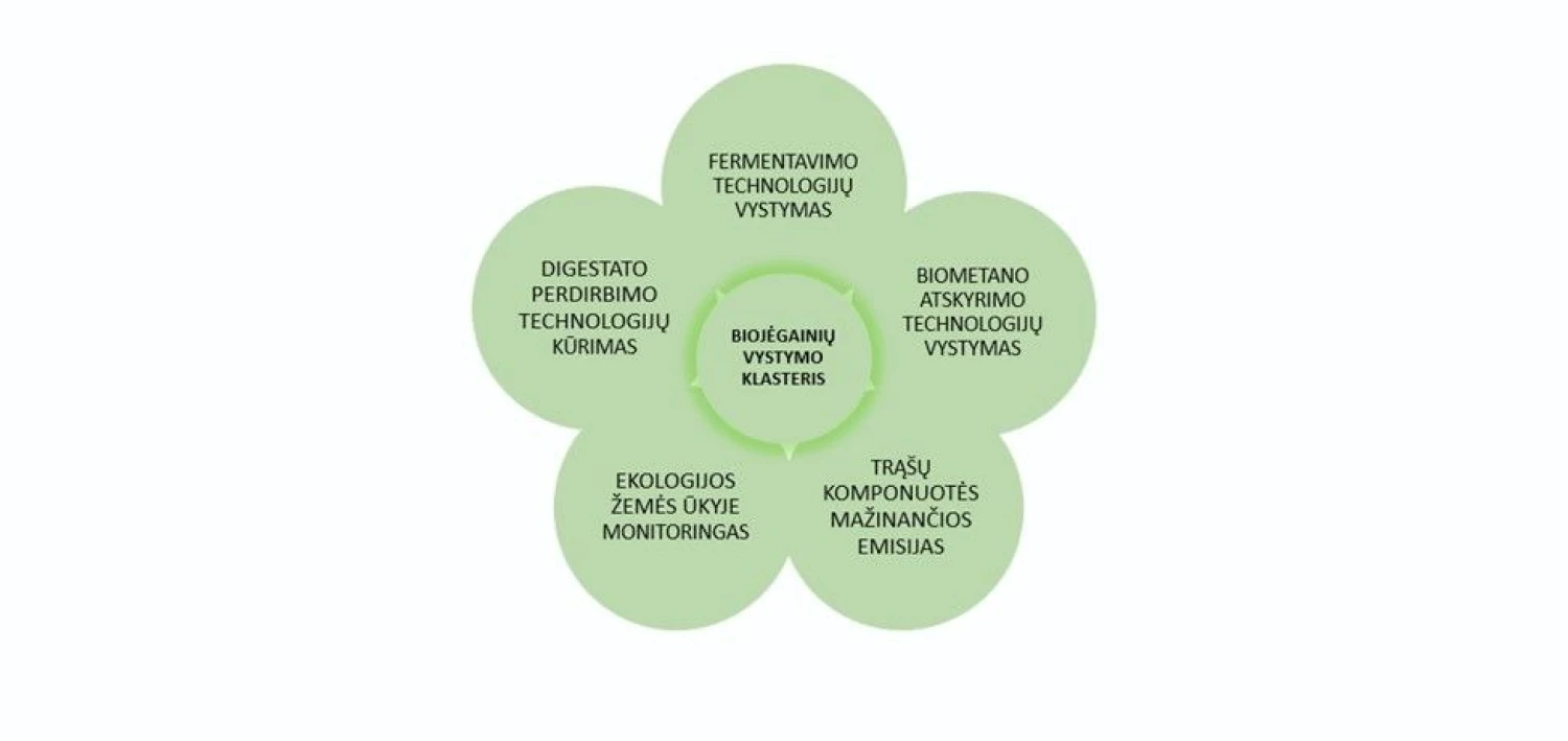 Biojėgainių vystymo klasterio veiklos kryptys.
