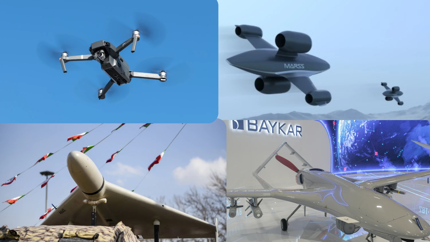 VŽ koliažas („Scanpix“ nuotr.)