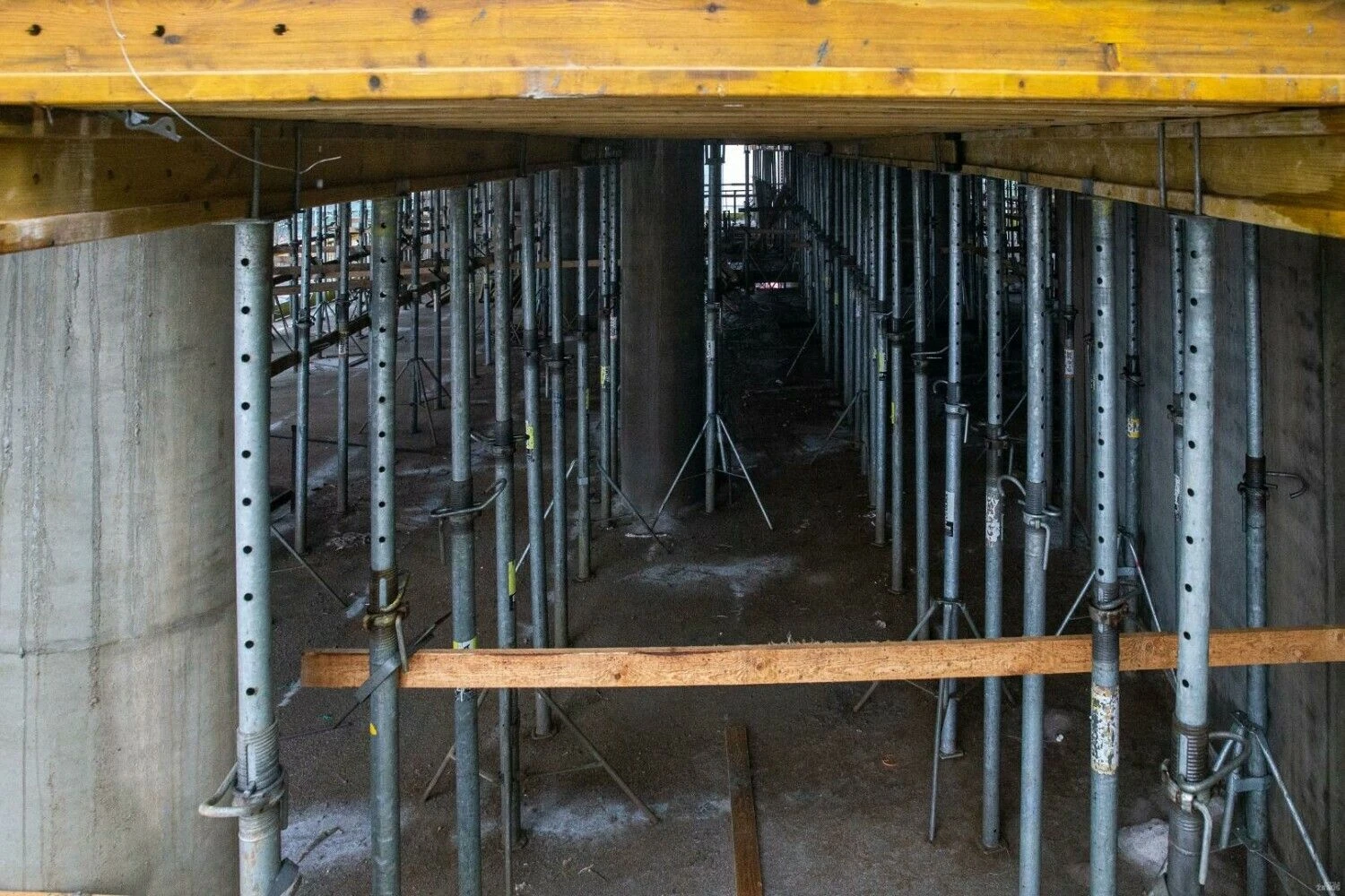 Vladimiro Ivanovo (VŽ) nuotr.