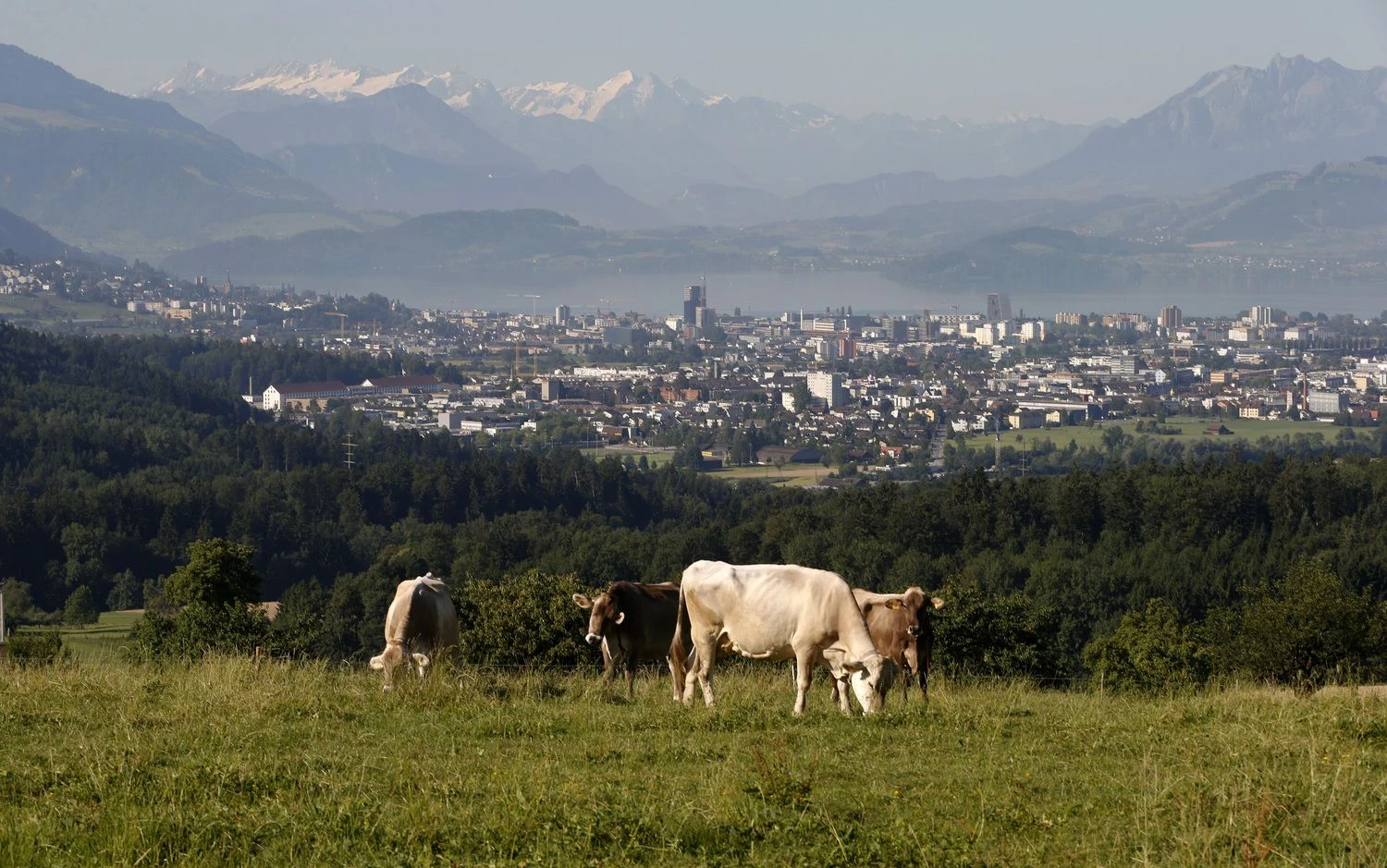 Cugas, Šveicarija. Arndo Wiegmanno  („Reuters“ / „Scanpix“) nuotr.