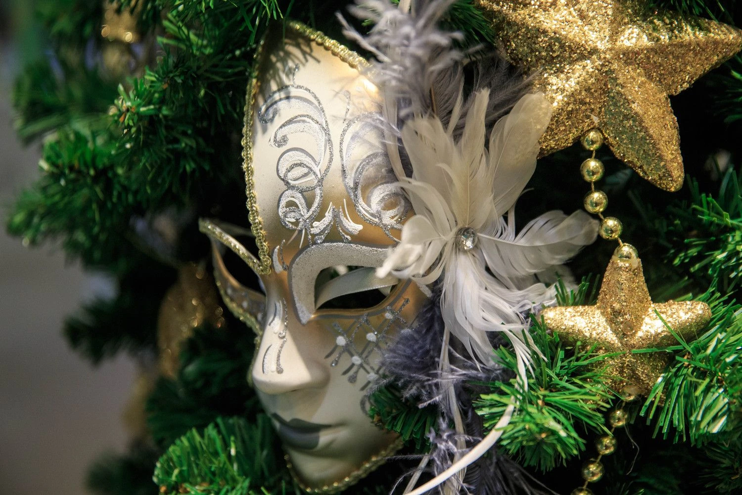 Vladimiro Ivanovo (VŽ) nuotr.