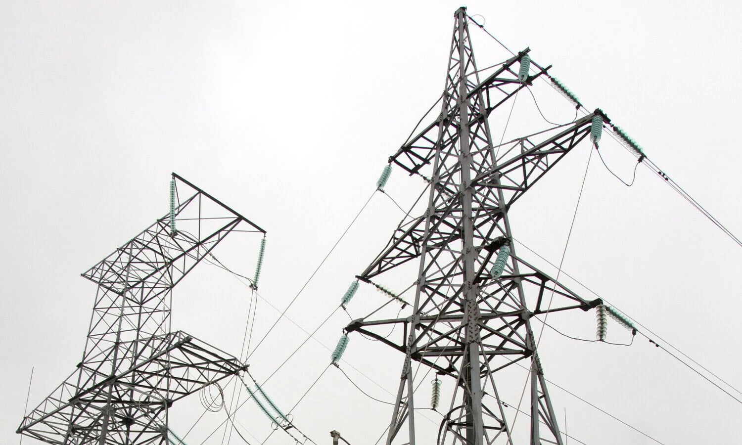 Algimanto Kalvaičio nuotr.