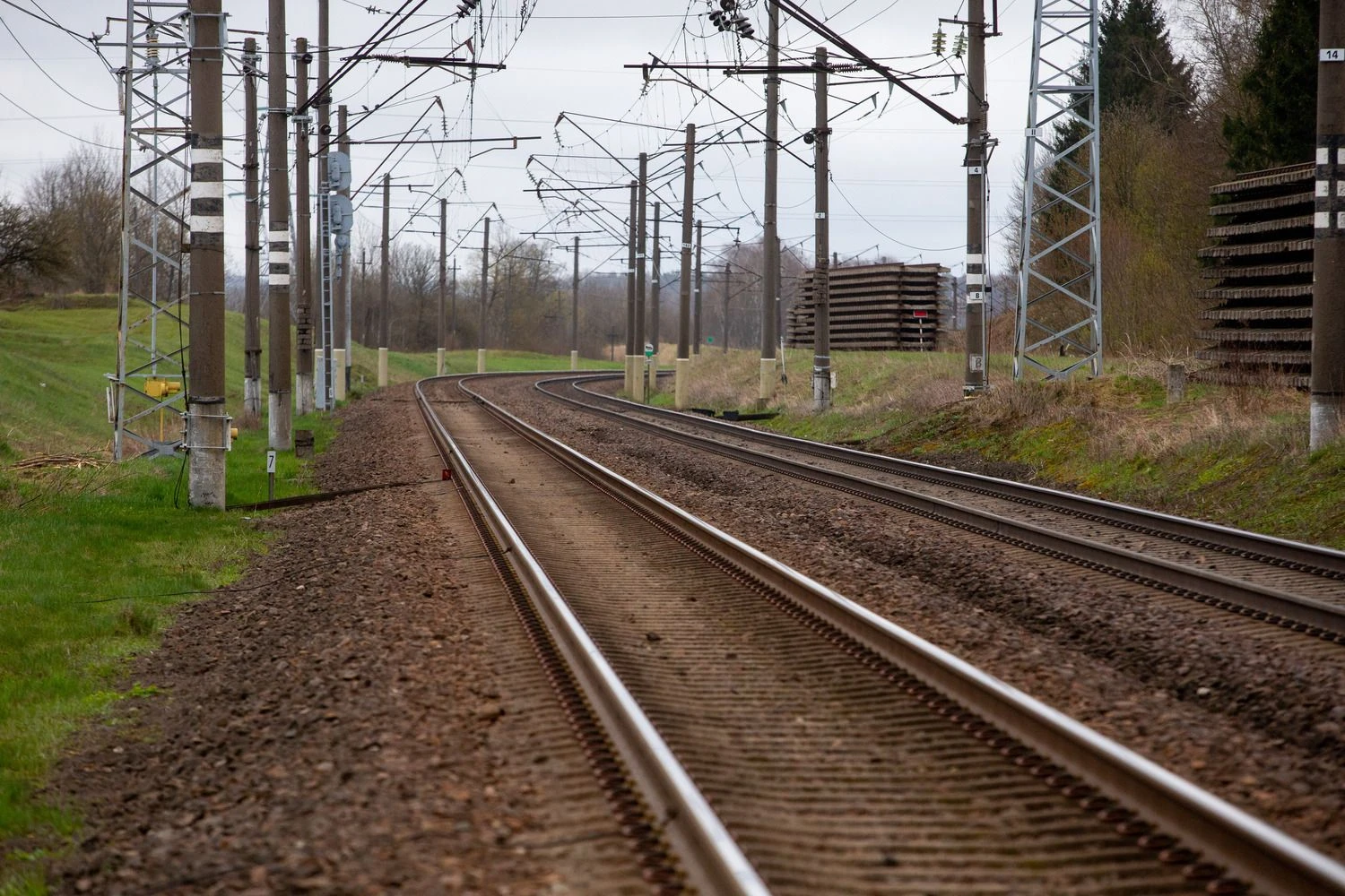 Vladimiro Ivanovo (VŽ) nuotr.
