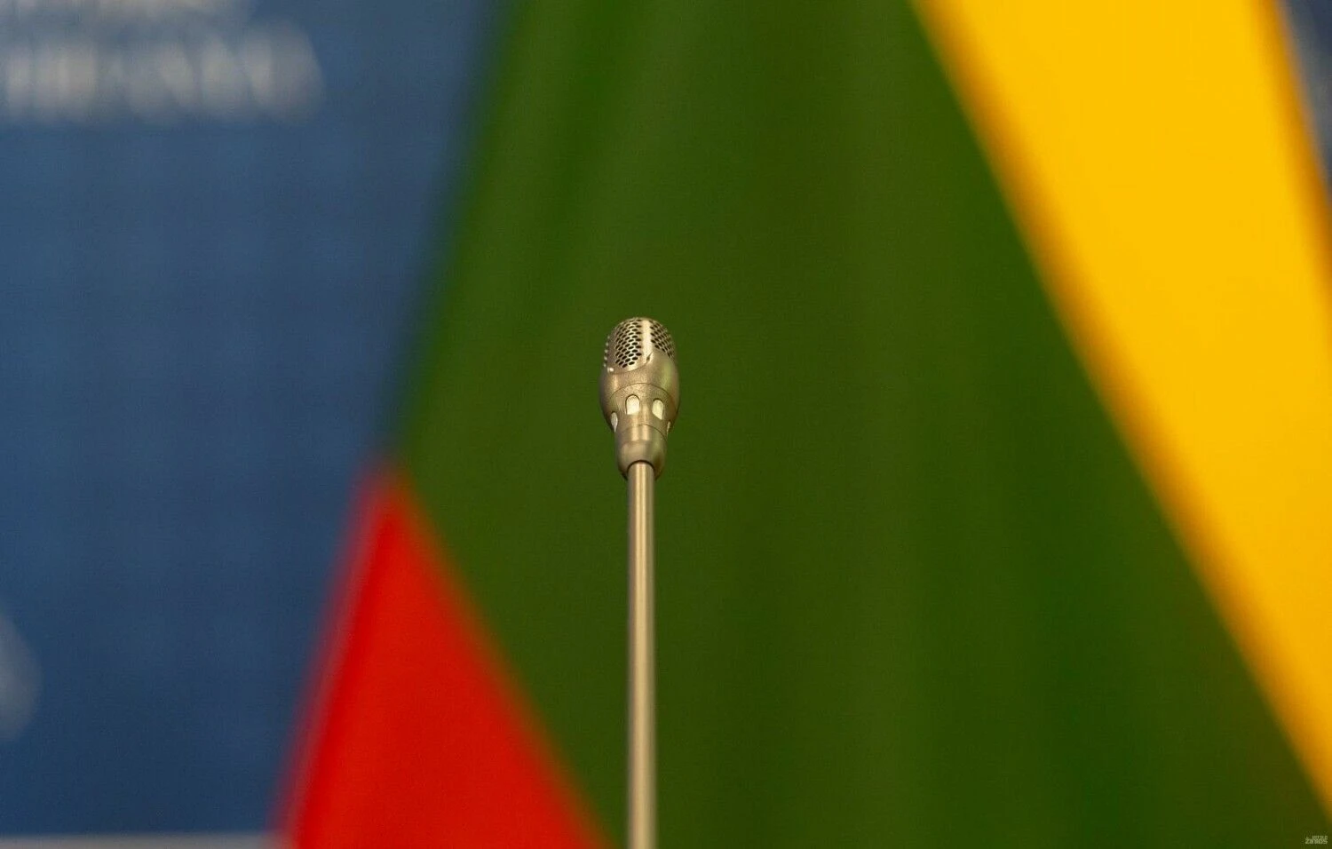 Juditos Grigelytės (VŽ) nuotr.