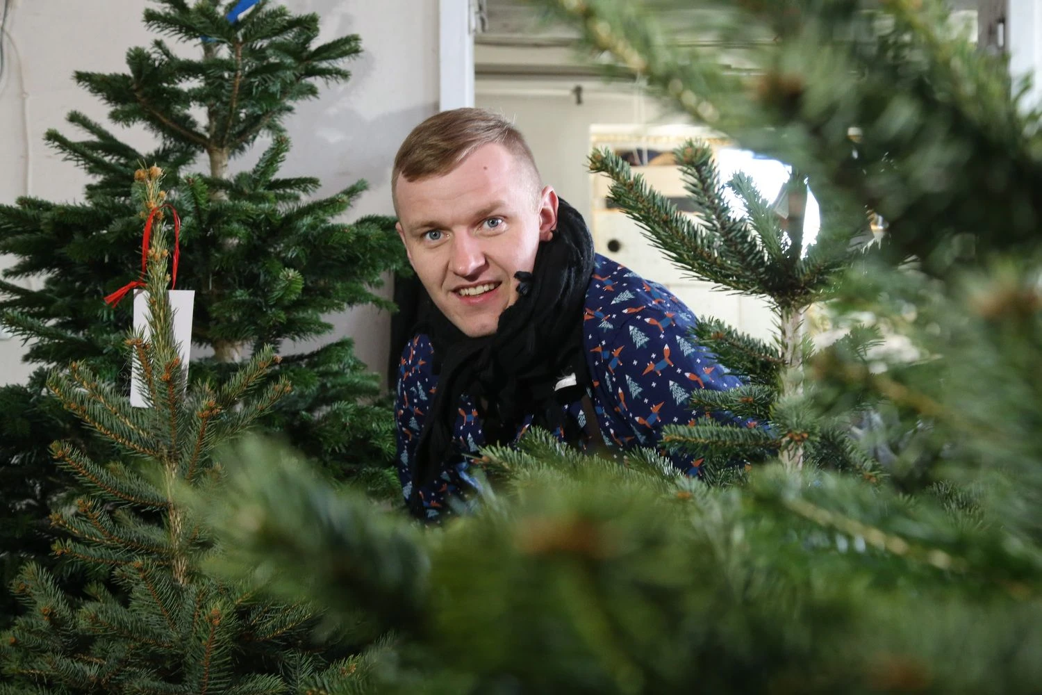 Lukas Litvinas, MB „Kalėdų eglė“ bendraturtis: „Šiais metais tapome grynai internetiniu verslu: neturime prekybos vietų prekybos centruose ar šalia jų.“ Vladimiro Ivanovo (VŽ) nuotr.