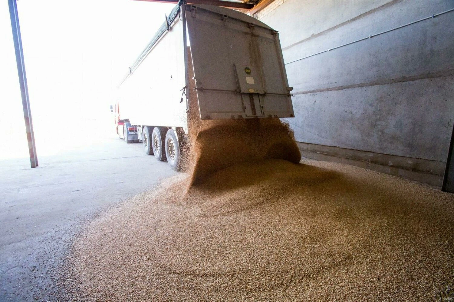 Vladimiro Ivanovo (VŽ) nuotr.