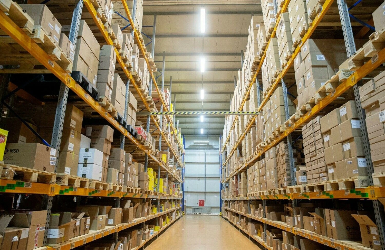 Juditos Grigelytės (VŽ) nuotr.