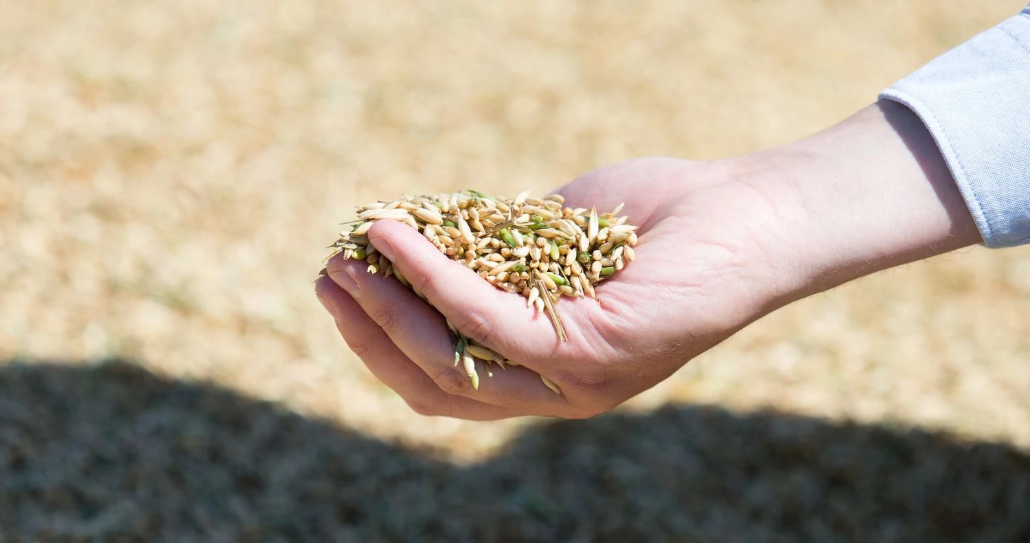 Juditos Grigelytės (VŽ) nuotr.