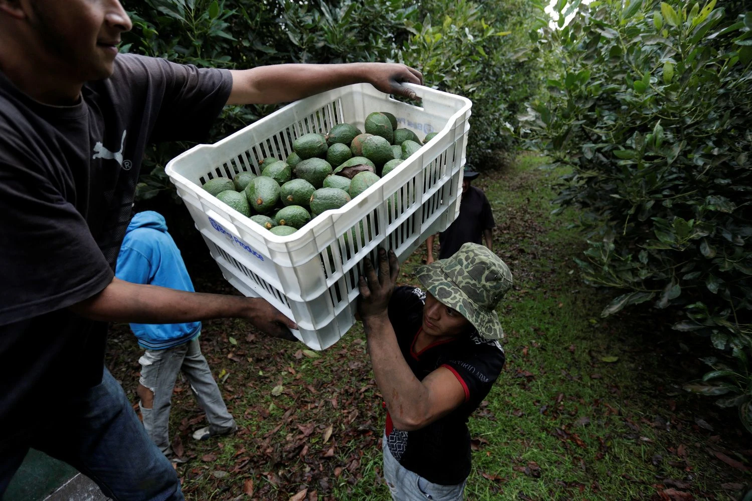 Alano Ortegos („Reuters“ / „Scanpix“) nuotr.

