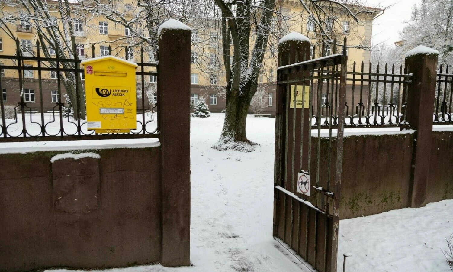 Vladimiro Ivanovo (VŽ) nuotr.