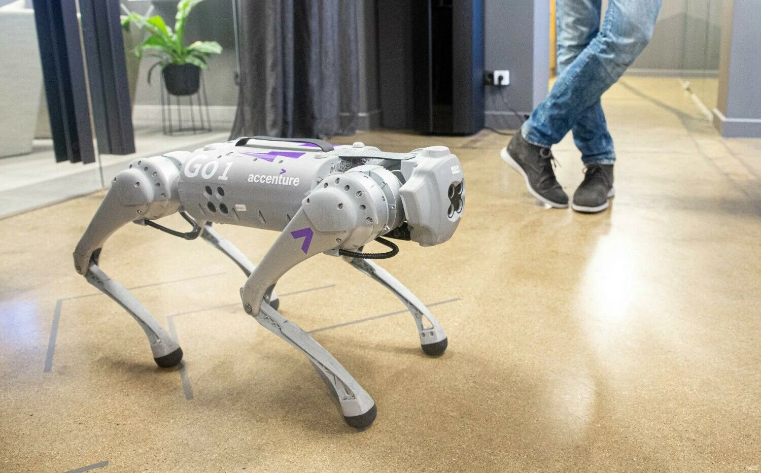 Juditos Grigelytės (VŽ) nuotr.