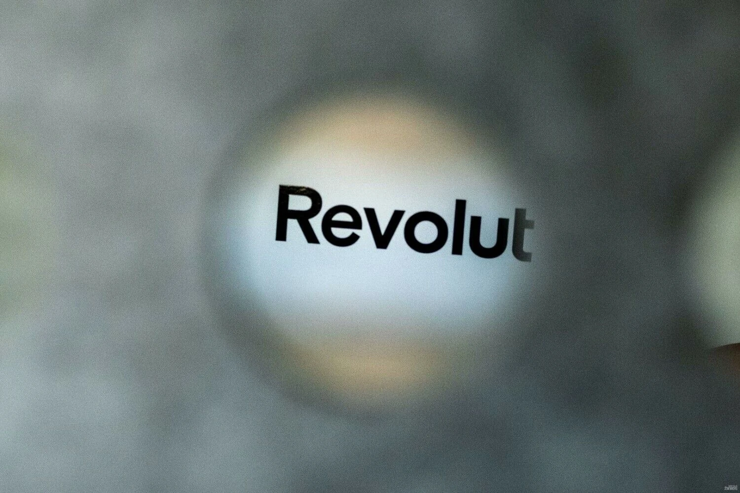 Vladimiro Ivanovo (VŽ) nuotr.