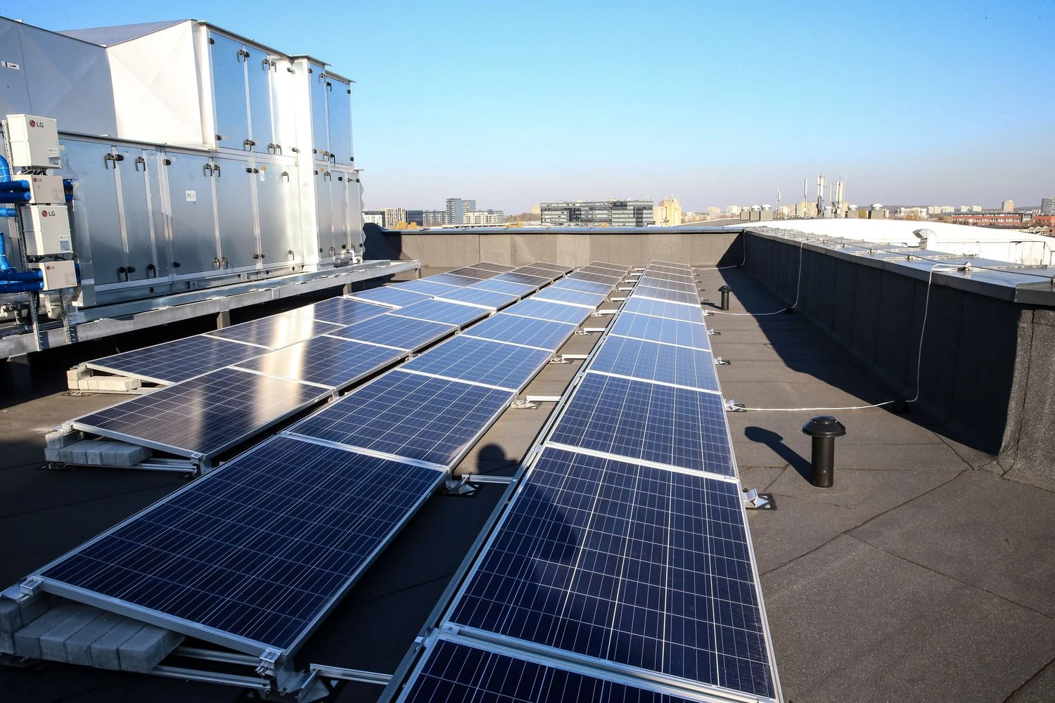 Vladimiro Ivanovo (VŽ) nuotr.