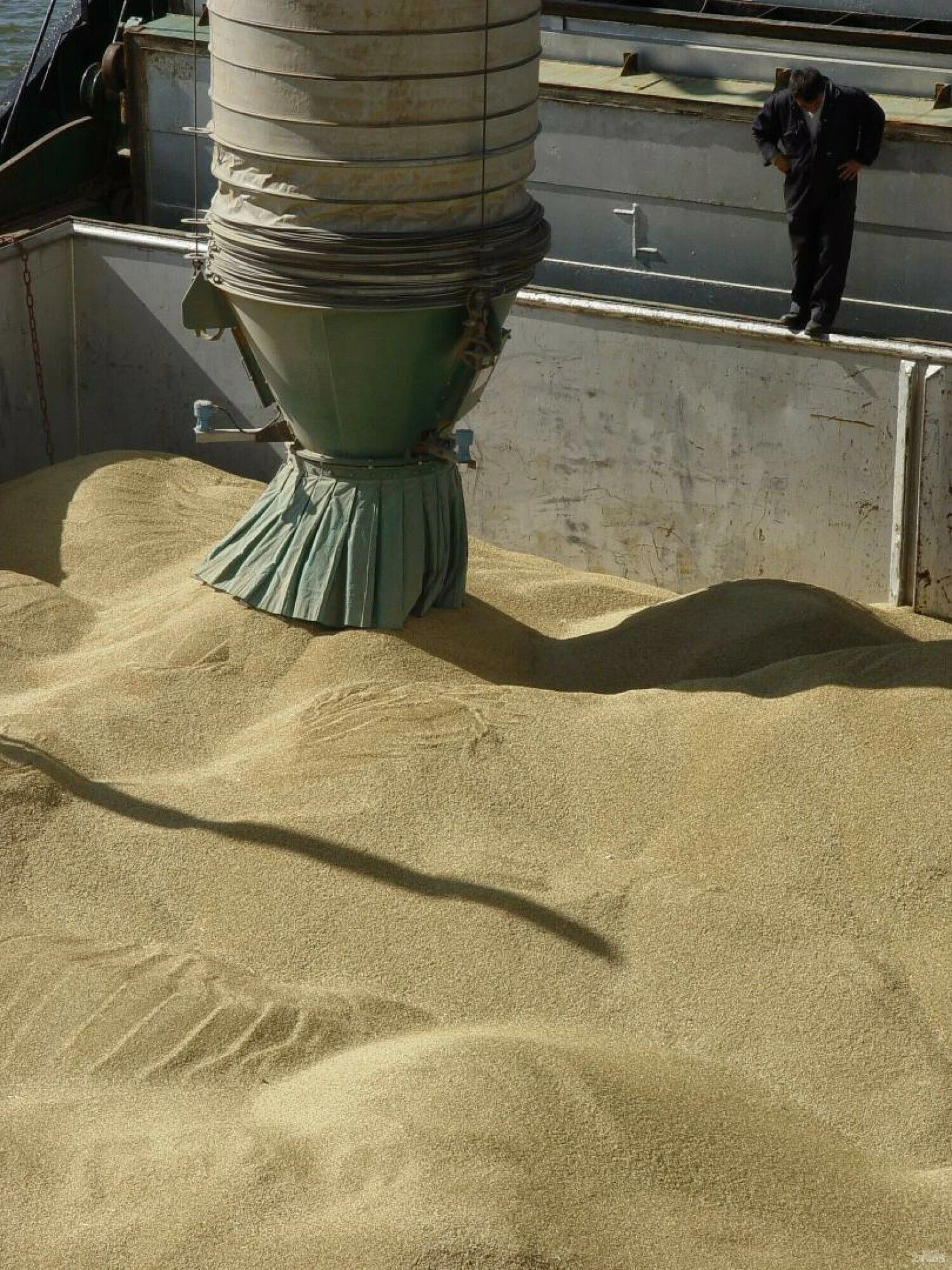 Algimanto Kalvaičio nuotr.