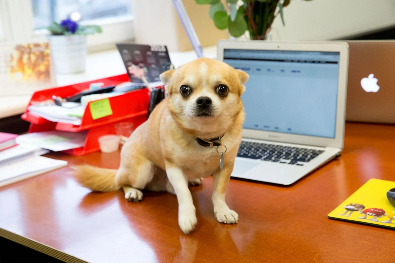  Juditos Grigelytės (VŽ) nuotr.