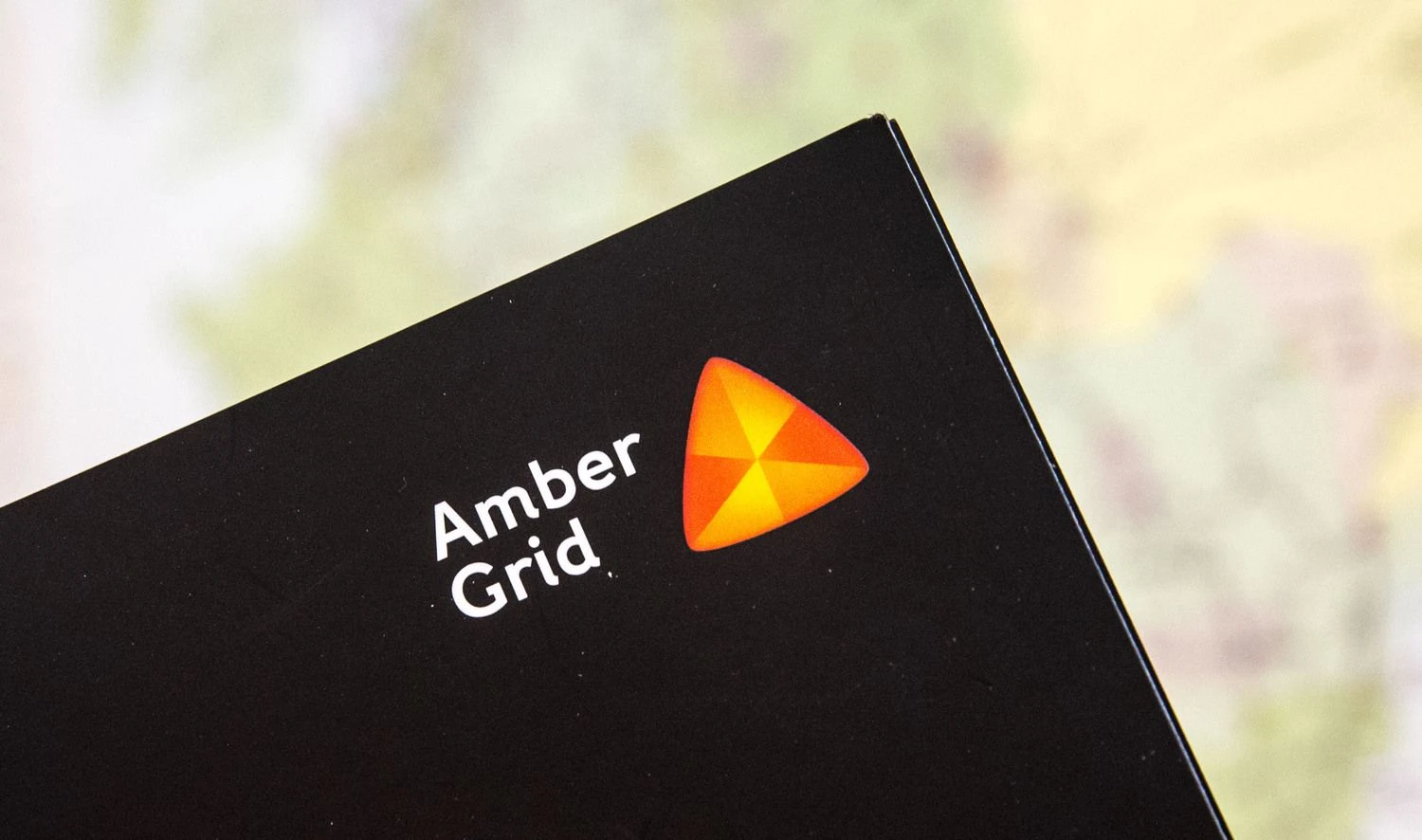 AB „Amber Grid“. Juditos Grigelytės (VŽ) nuotr.