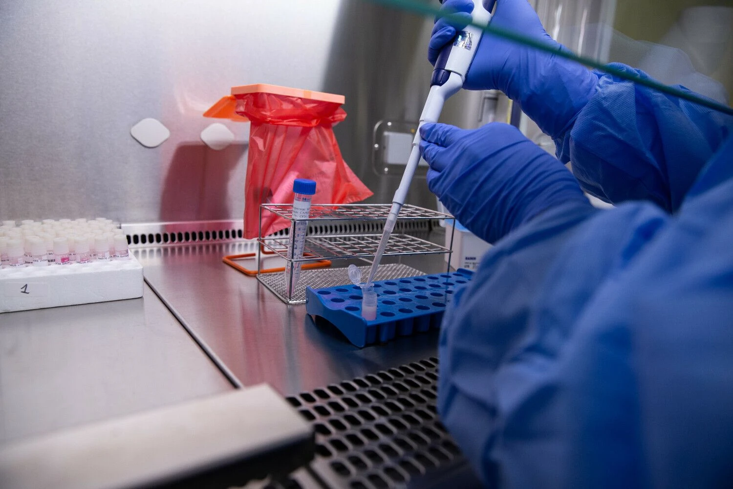 Vladimiro Ivanovo (VŽ) nuotr.