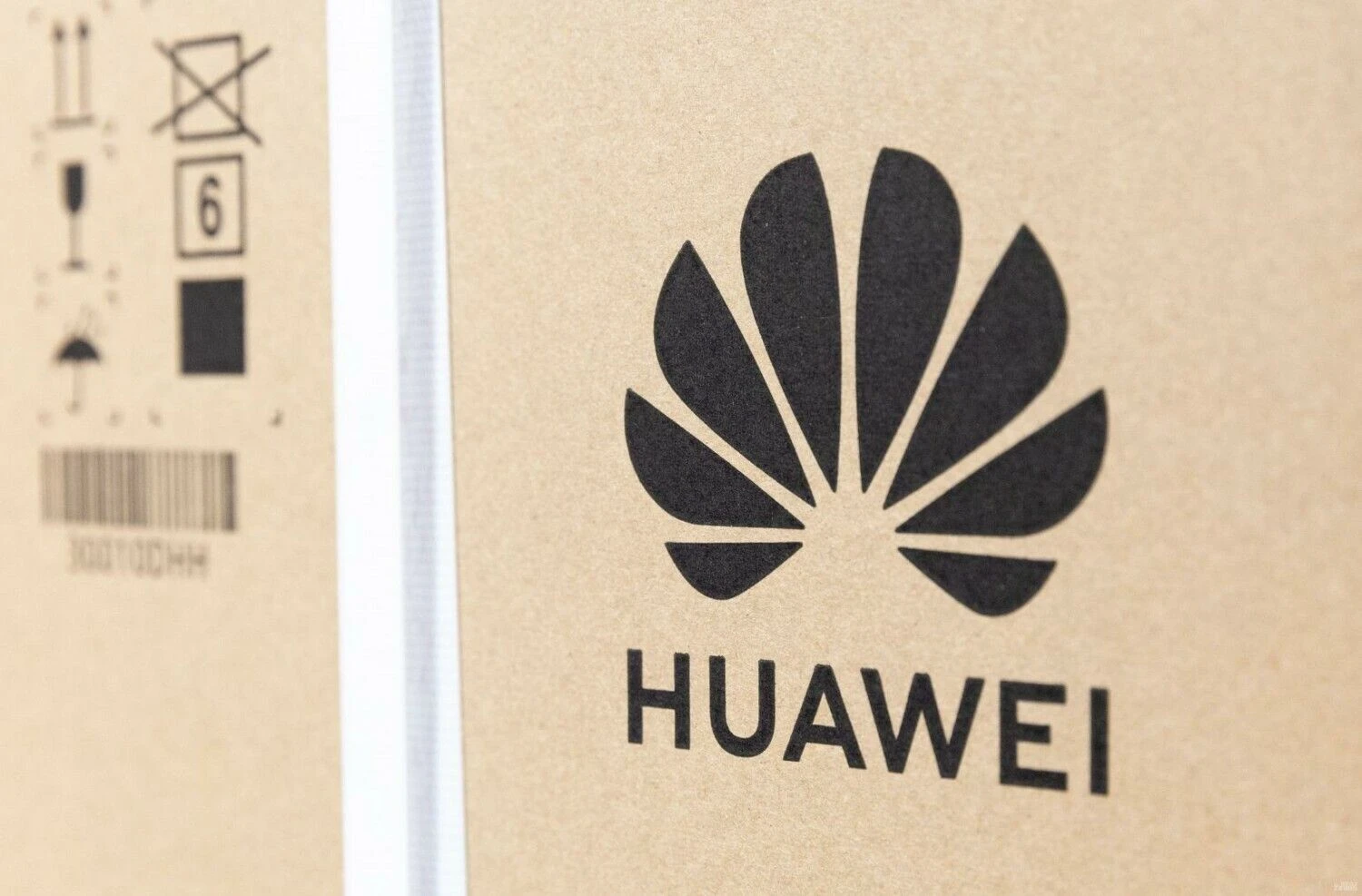 Juditos Grigelytės (VŽ) nuotr.