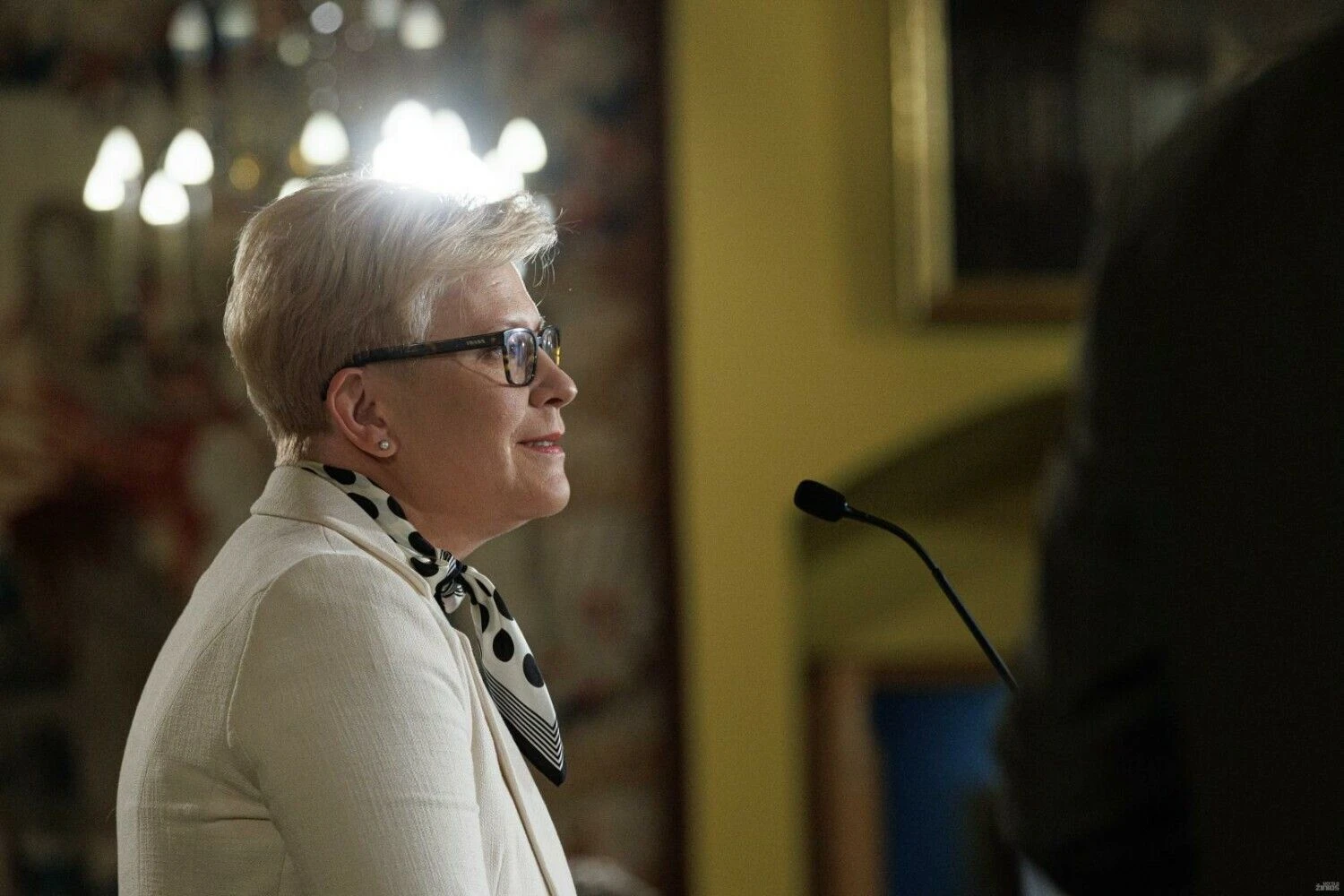 Ingridos Šimonytės spaudos konferencija. Vladimiro Ivanovo (VŽ) nuotr.