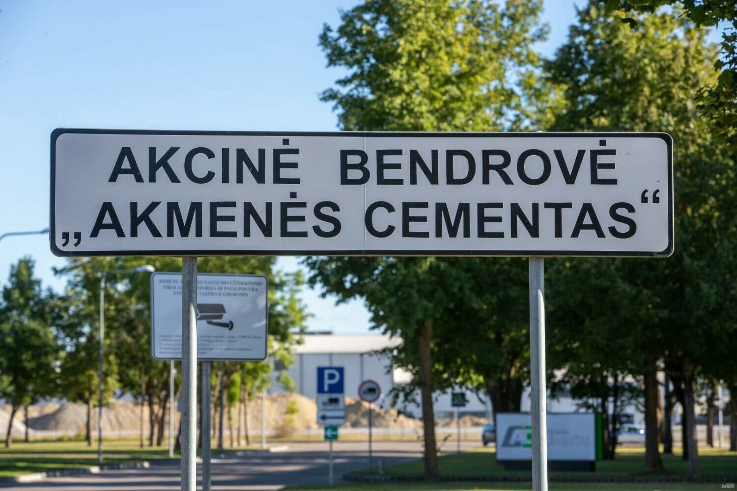 Vladimiro Ivanovo (VŽ) nuotr.