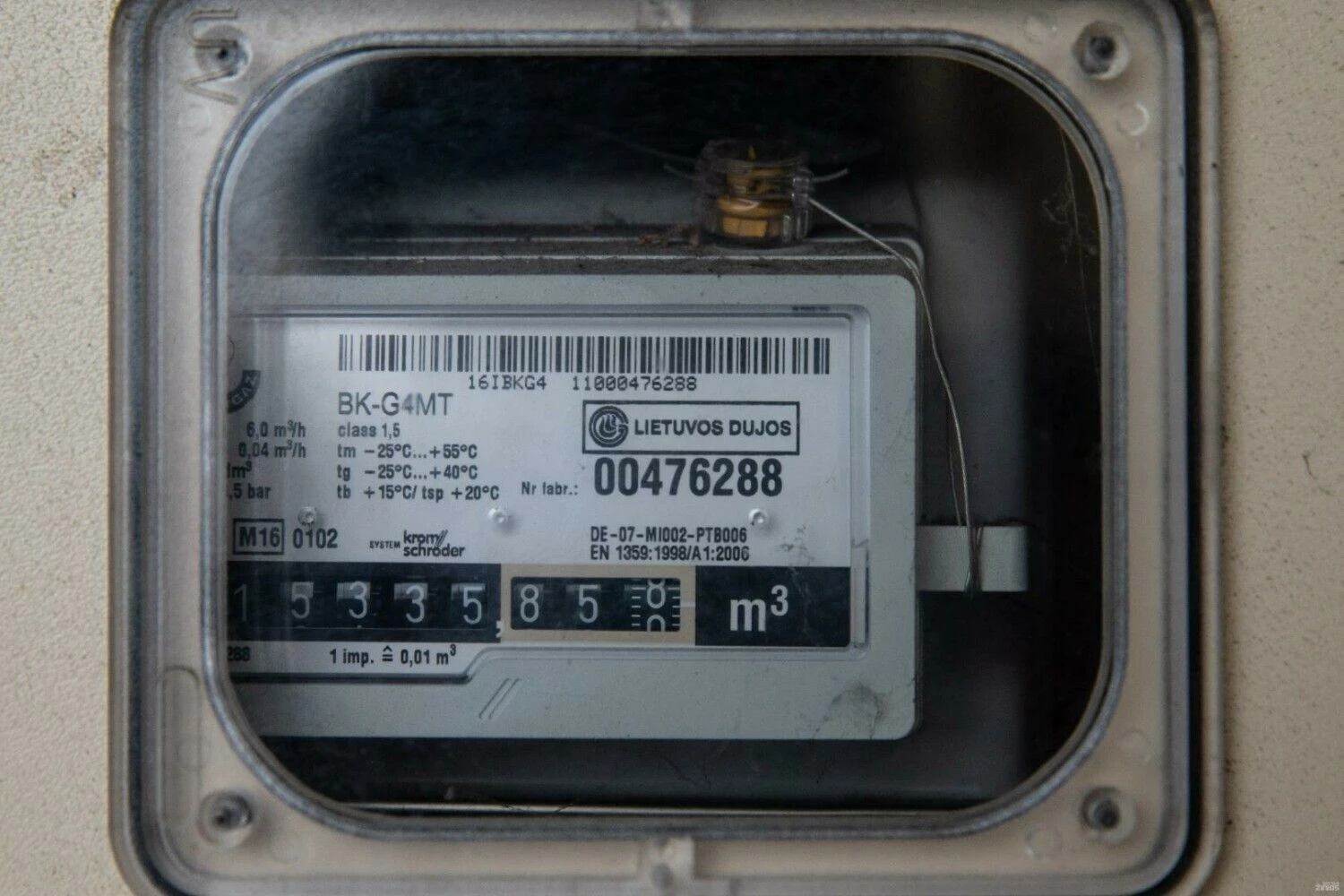 Vladimiro Ivanovo (VŽ) nuotr.