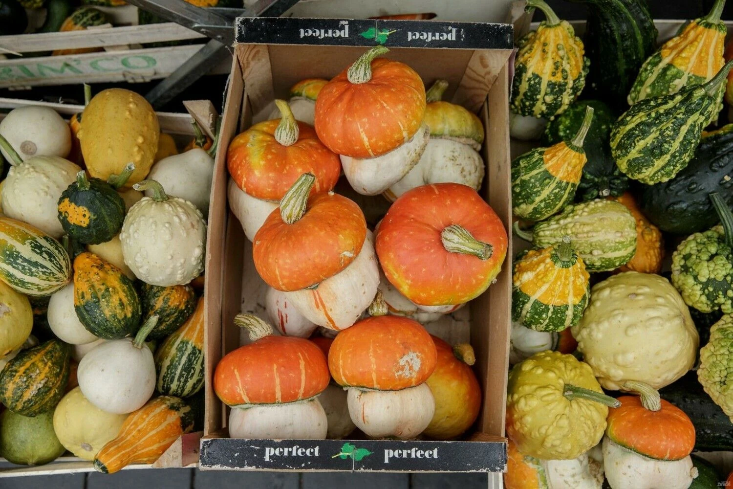 Vladimiro Ivanovo (VŽ) nuotr.