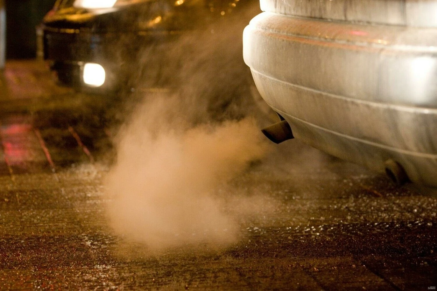 Juditos Grigelytės (VŽ) nuotr.