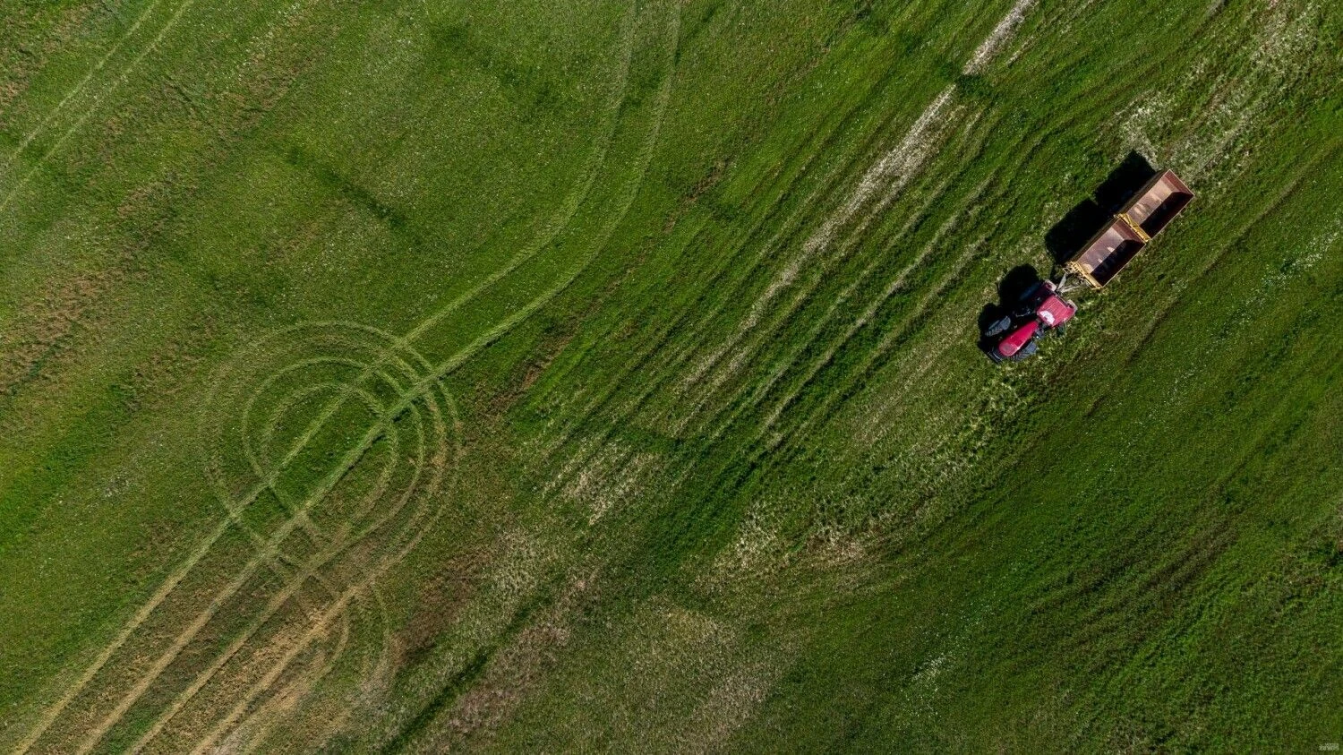 Vladimiro Ivanovo (VŽ) nuotr.
