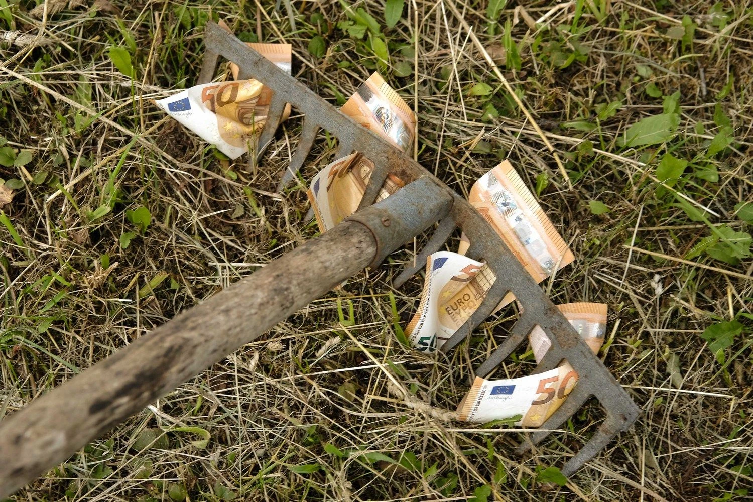 Vladimiro Ivanovo (VŽ) nuotr.