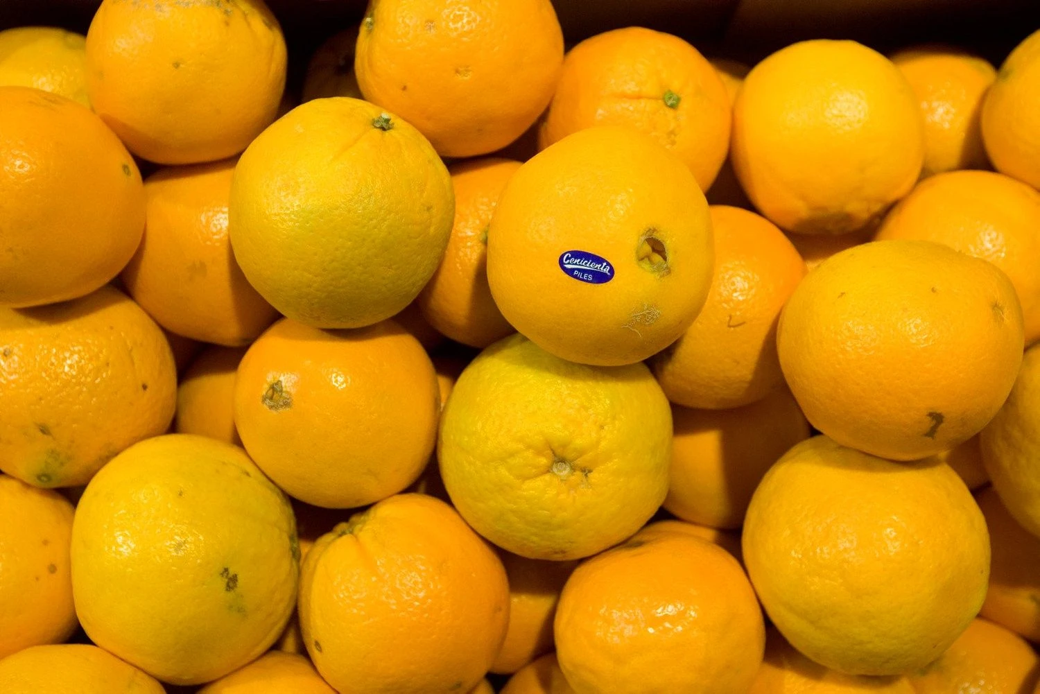 Juditos Grigelytės (VŽ) nuotr.