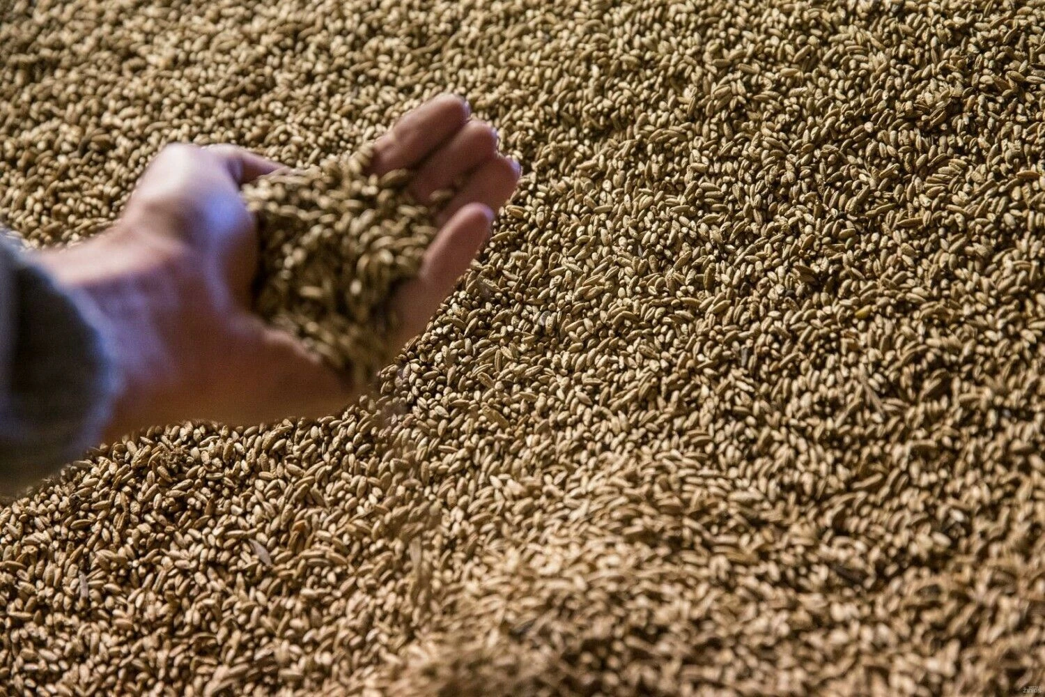 Juditos Grigelytės (VŽ) nuotr.