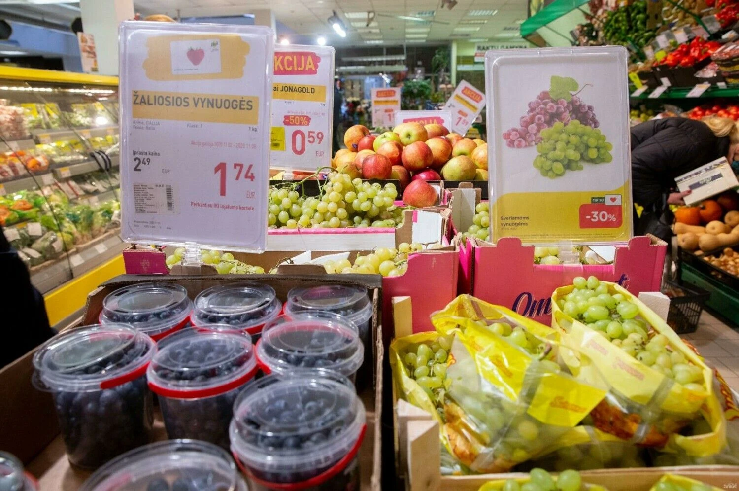 Juditos Grigelytės (VŽ) nuotr.