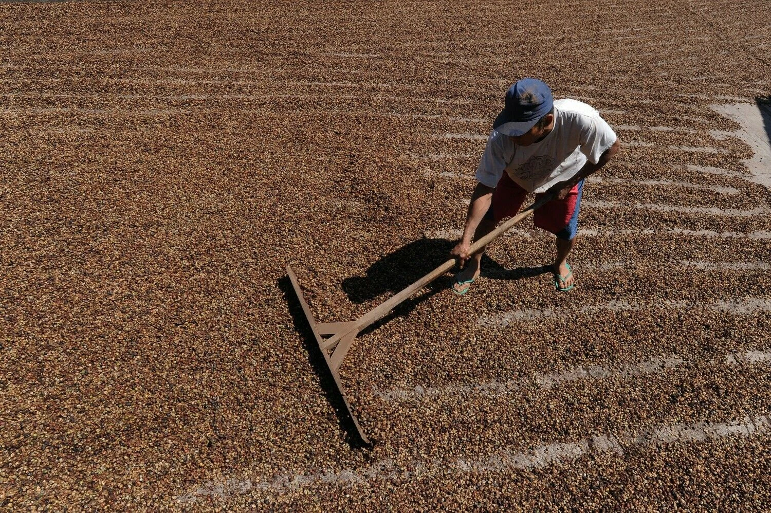 Dasrilo Roszandi („Zuma Press“ / „Scanpix“) nuotr.