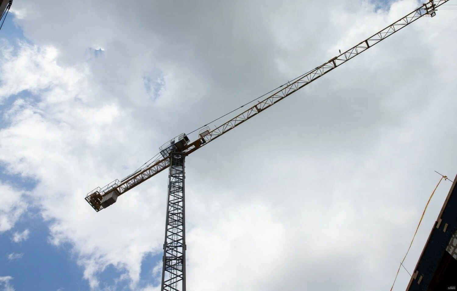 Juditos Grigelytės (VŽ) nuotr.