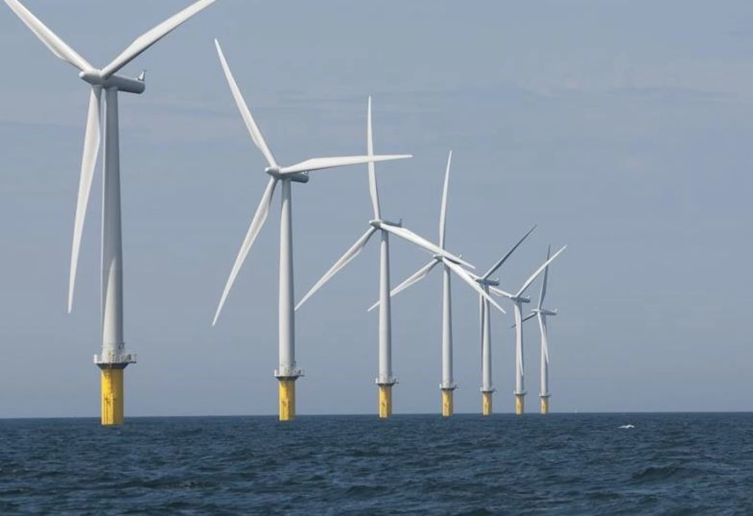 Dong Energy vėjo parkas. Benrdovės nuotr.