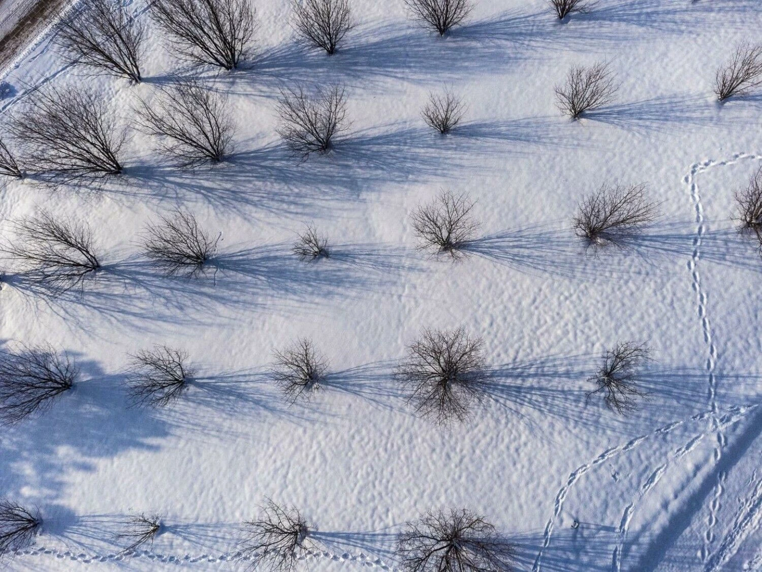 Vladimiro Ivanovo (VŽ) nuotr.