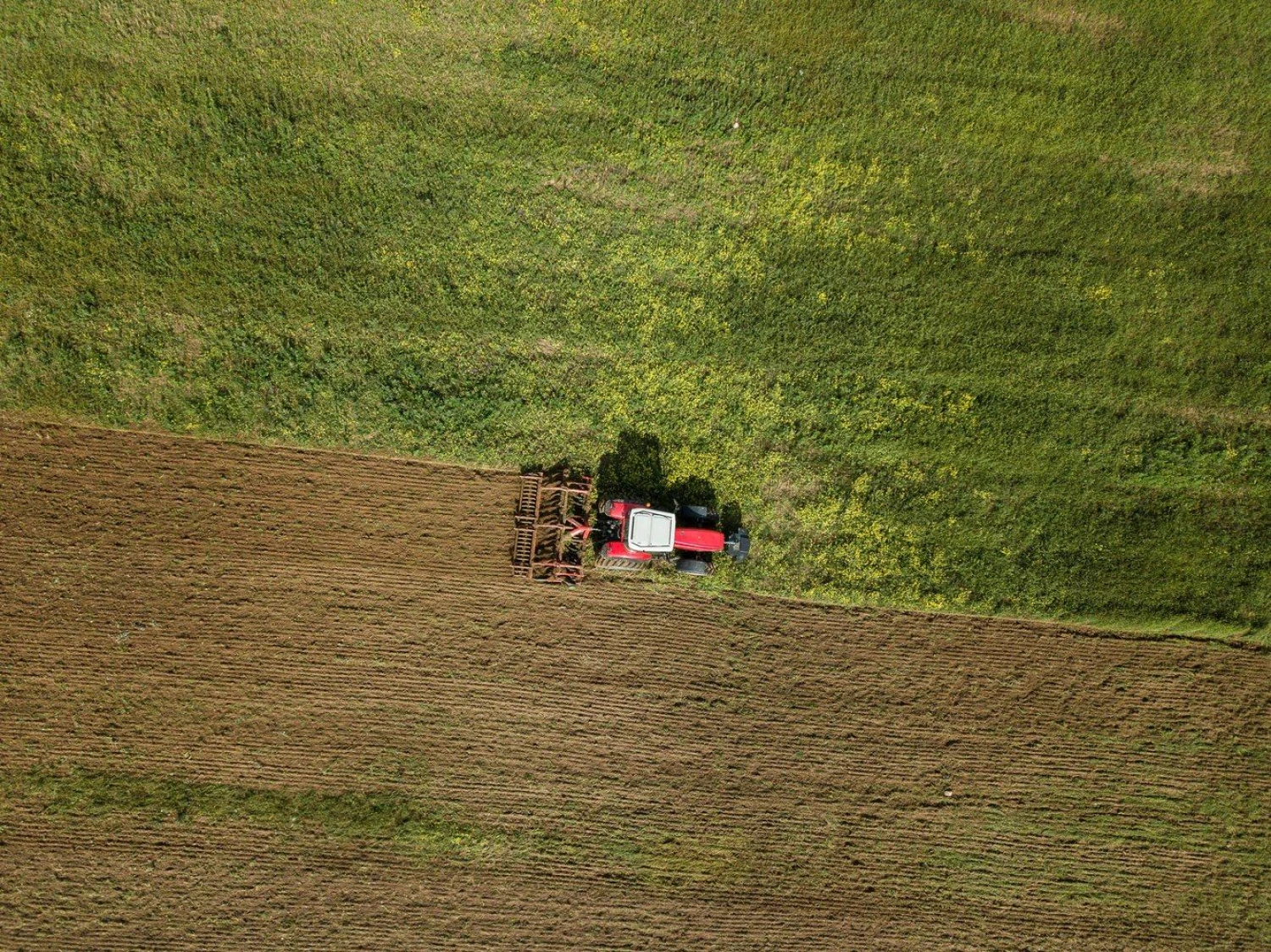 Vladimiro Ivanovo (VŽ) nuotr.