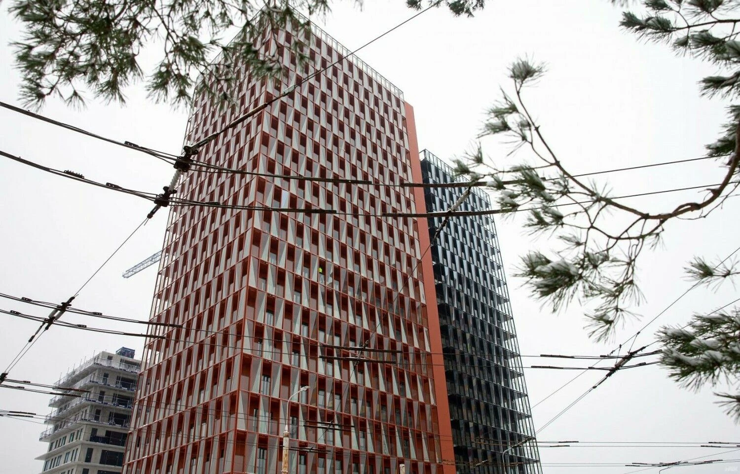 Juditos Grigelytės (VŽ) nuotr.