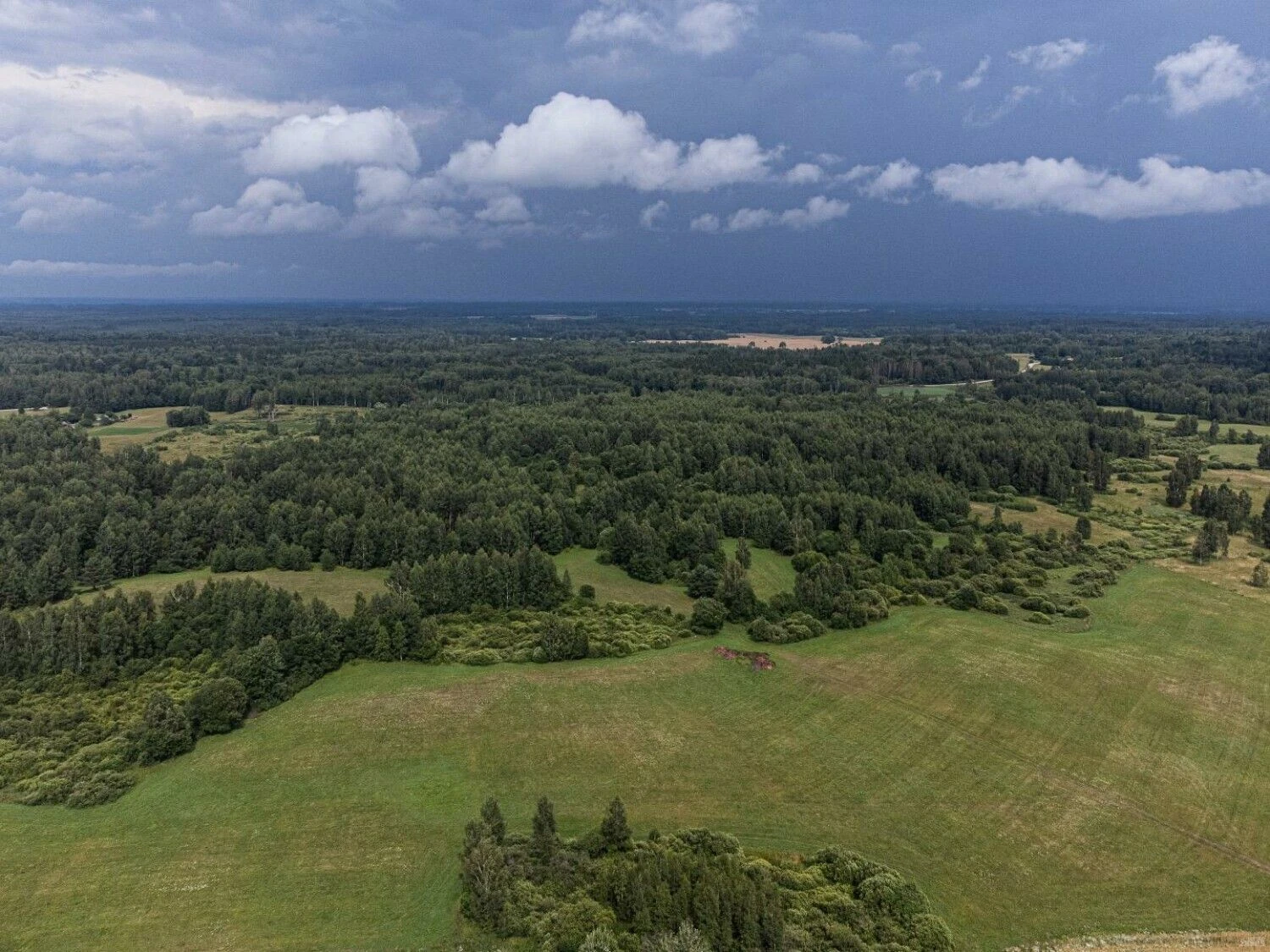 Vladimiro Ivanovo (VŽ) nuotr.