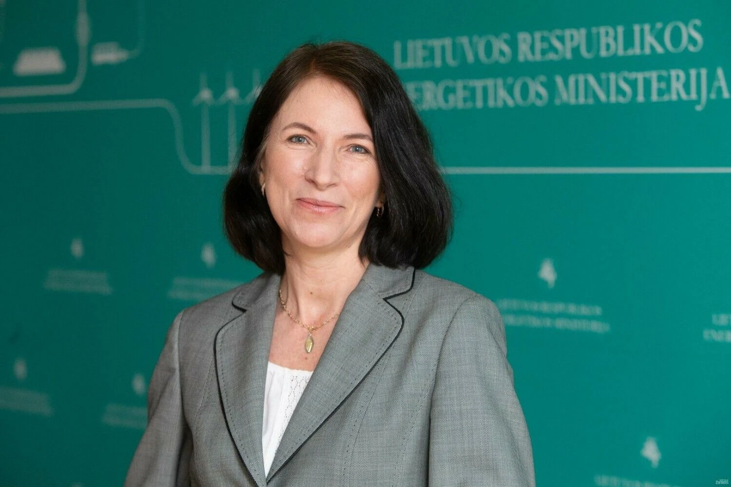 Inga Žilienė, energetikos viceministrė. Vladimiro Ivanovo (VŽ) nuotr.