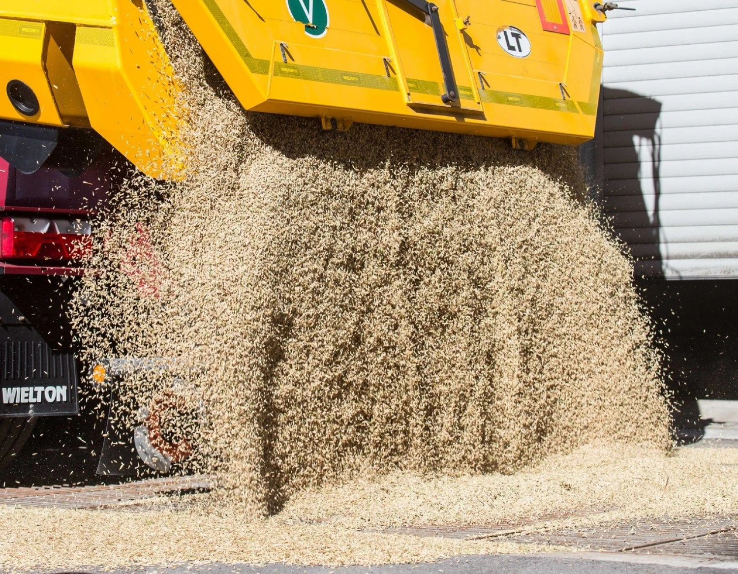 Juditos Grigelytės (VŽ) nuotr.