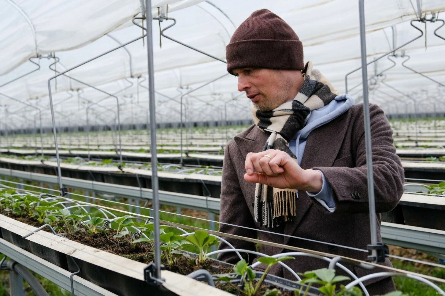 Vykintas Misiūnas, UAB „Dehidra“ direktorius ir bendraturtis. Vladimiro Ivanovo (VŽ) nuotr.