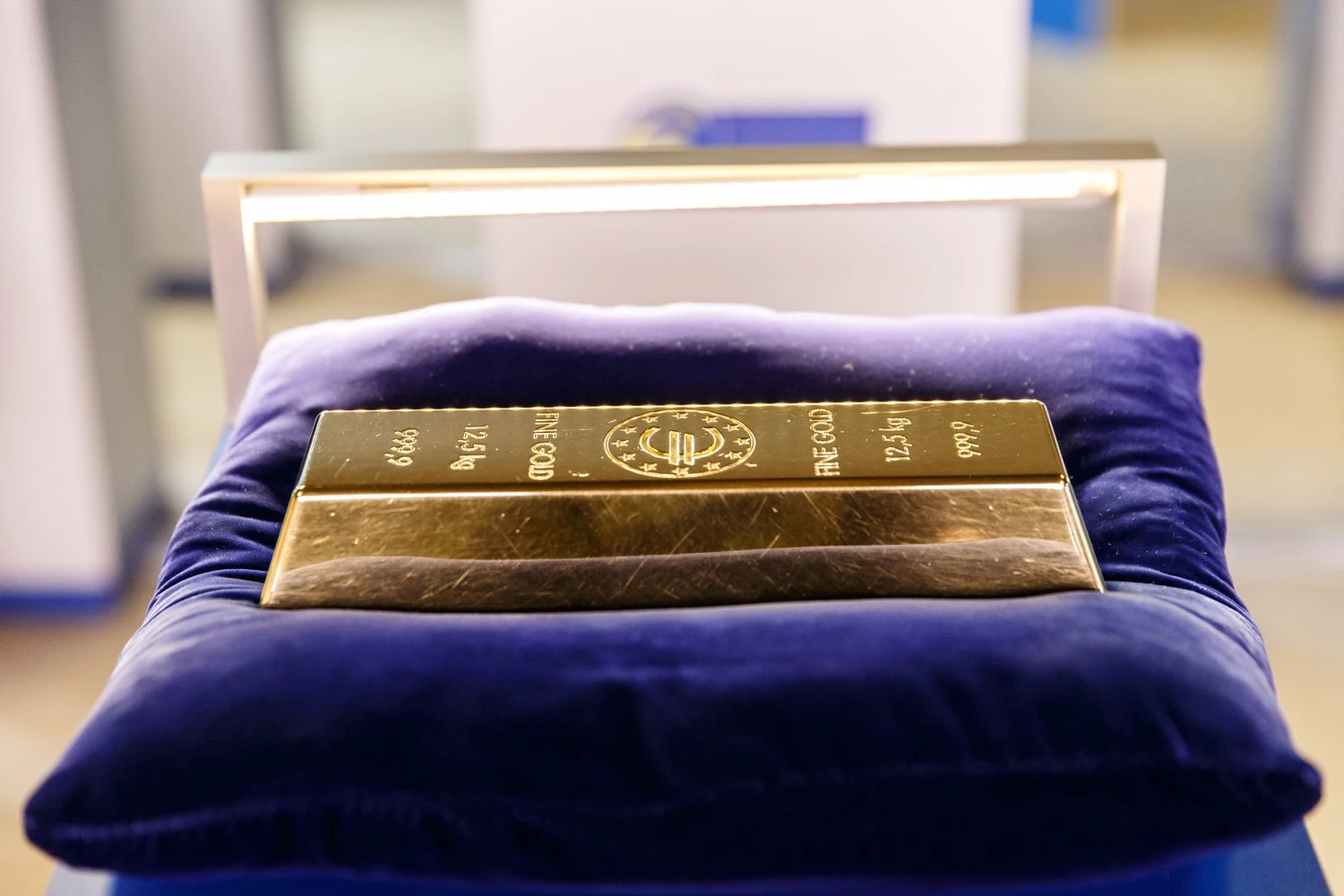 Vladimiro Ivanovo (VŽ) nuotr.