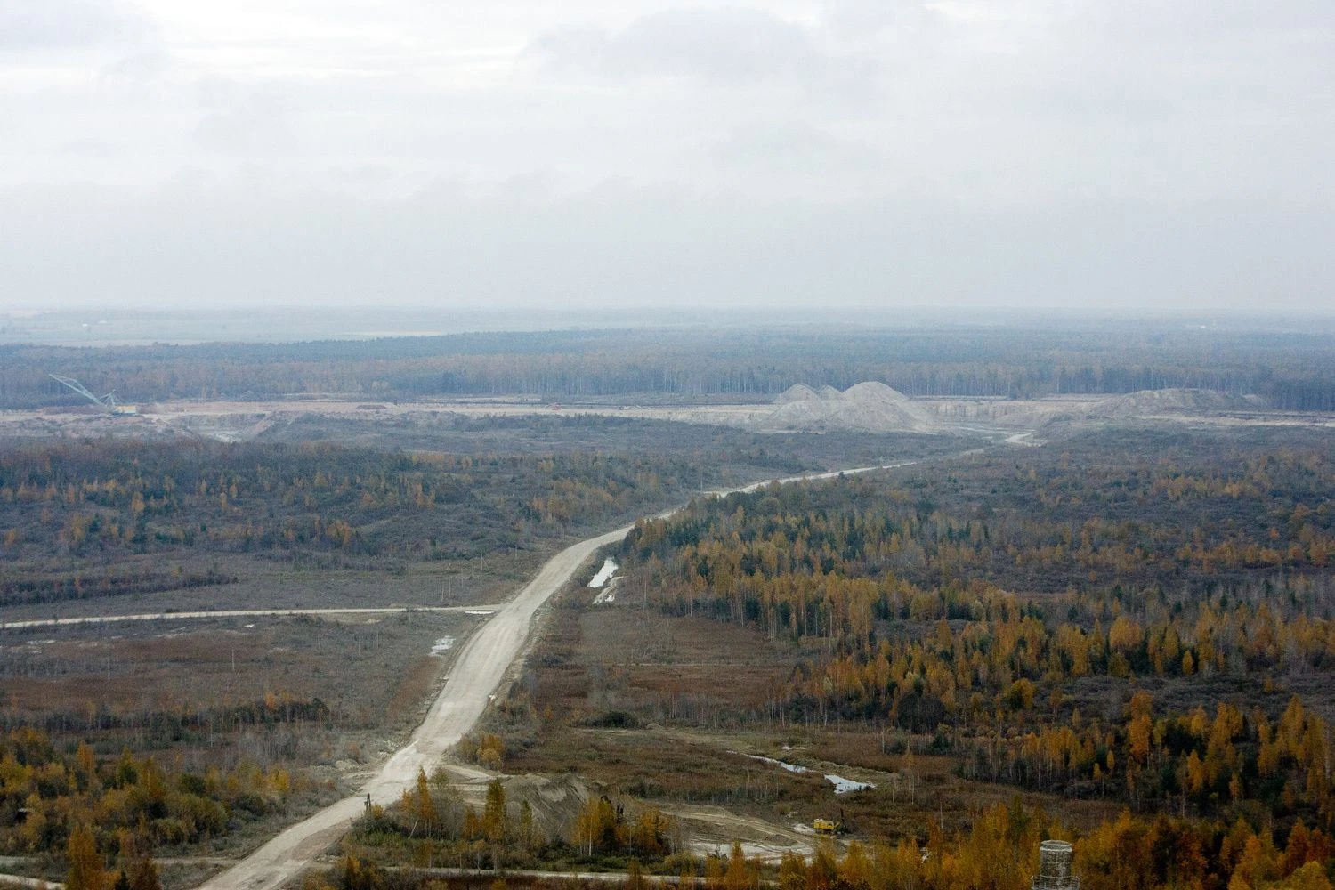 Vladimiro Ivanovo (VŽ) nuotr.