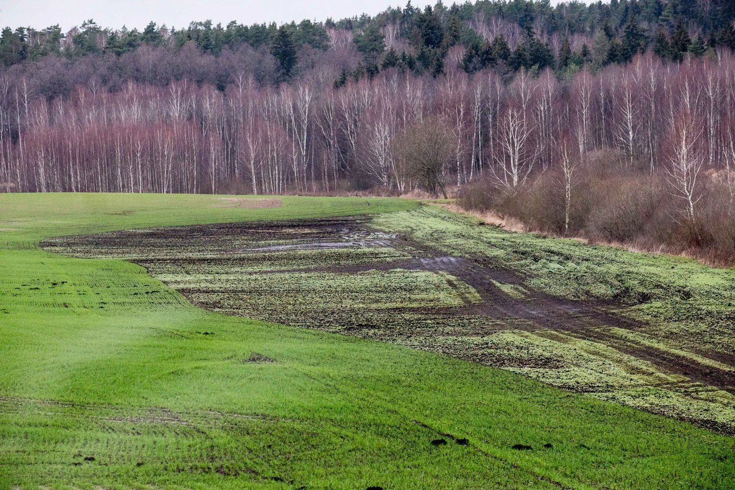 Keičiasi ir nuompinigių už žemę apmokestinimo tvarka. Juditos Grigelytės (VŽ) nuotr.