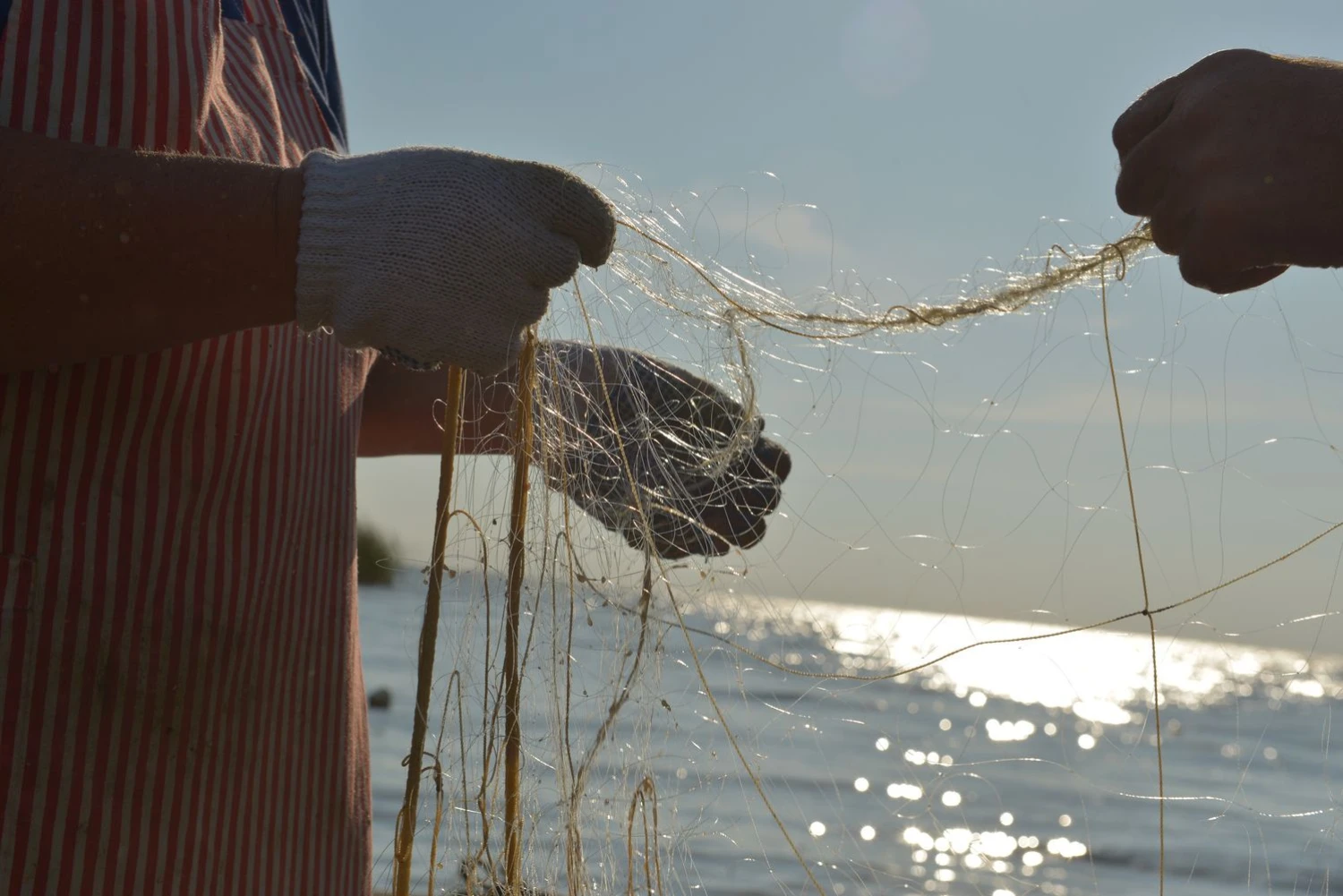 Aušros Barysienės nuotr.