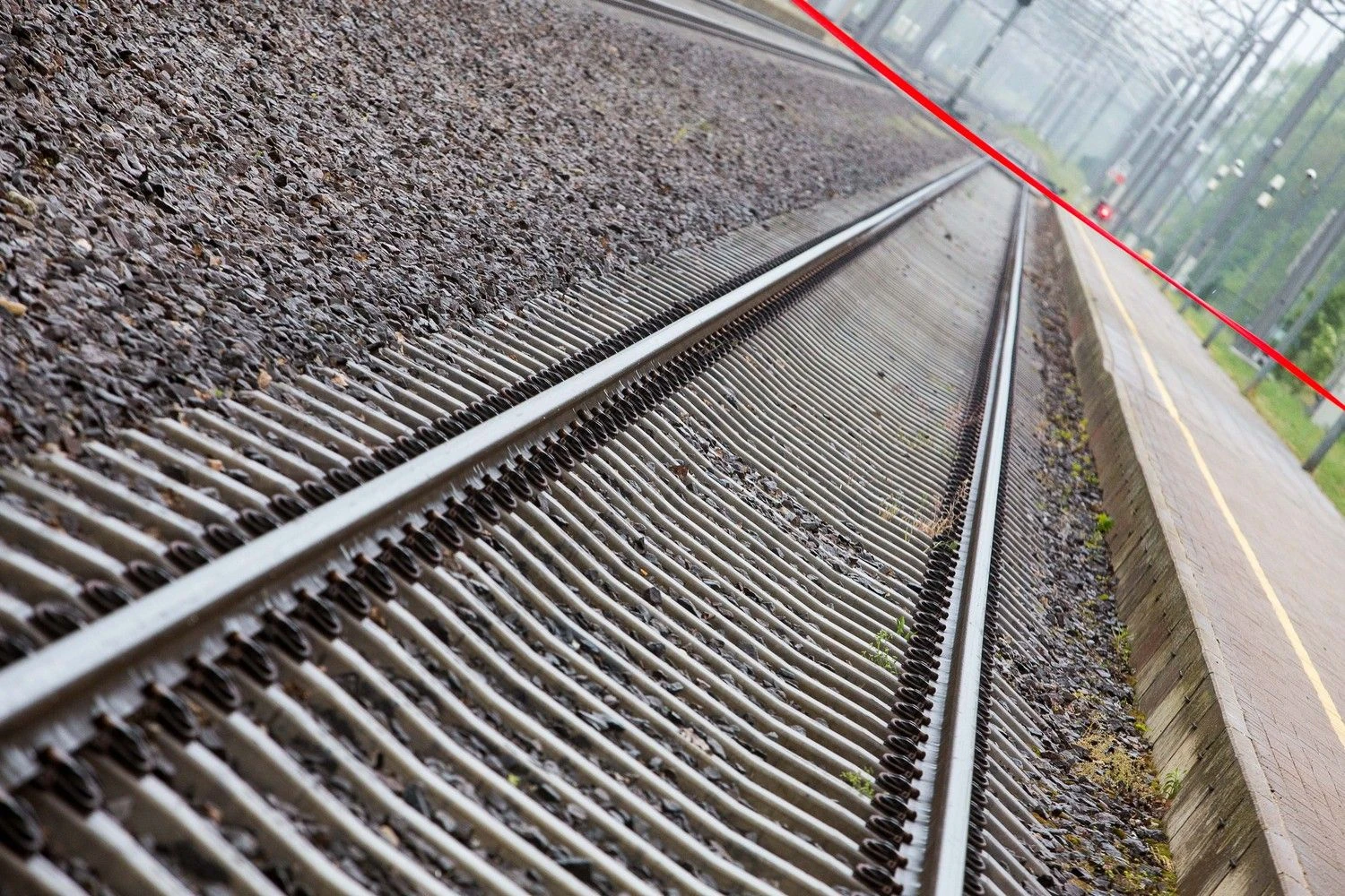 Vladimiro Ivanovo (VŽ) nuotr. 
 