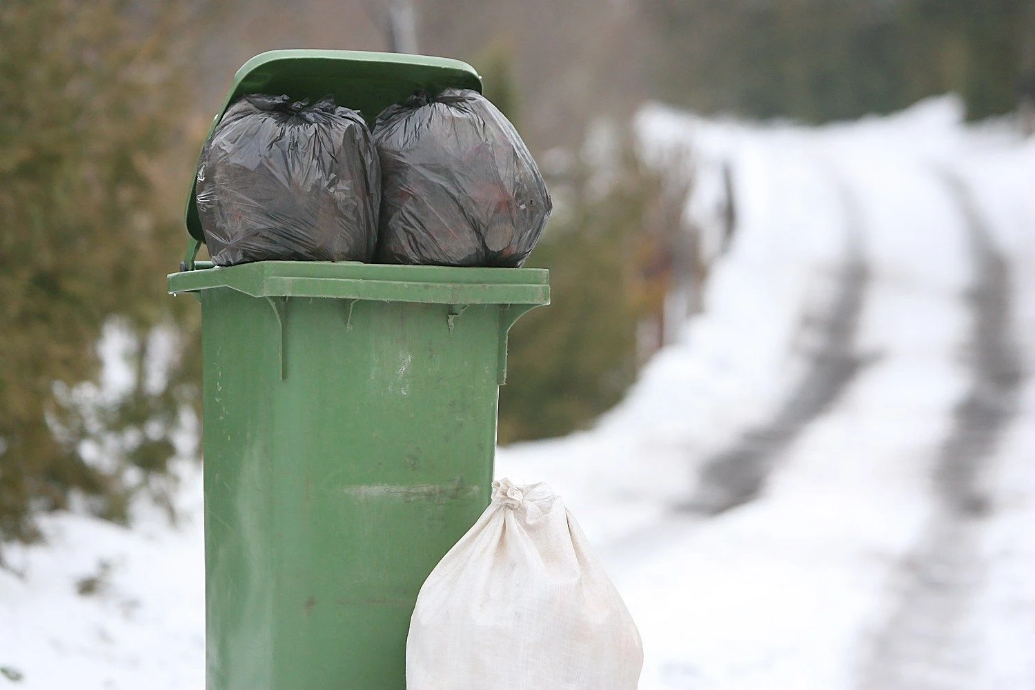 Eriko Ovčarenko („15min.lt“) nuotr.